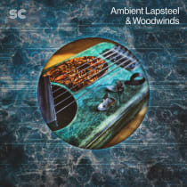 Ambient Lapsteel & Woodwinds