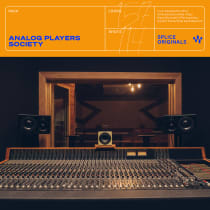 Analog Players Society