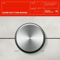 Rare Rhythm Boxes