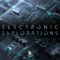 Electronic Explorations