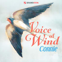 Voice of Wind: Connie - 100bpm Phrases