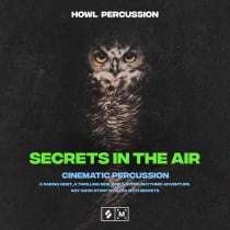 Secrets In The Air: Cinematic Percussion