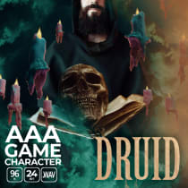 AAA Game Character Druid