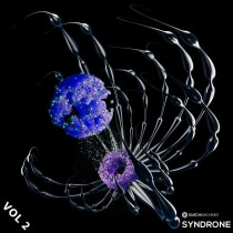 Syndrone Vol. 2