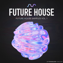 Future House Vol.1