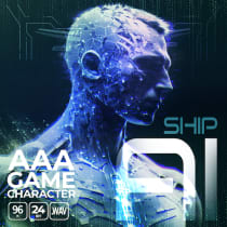 AAA Game Character Ship AI