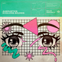 Aukoustics: Evolving Sounds