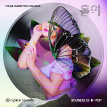 Wildcardz Feat. Lydia Paek - Sounds of K-Pop