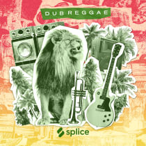 Dub Reggae