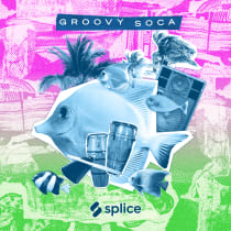 Groovy Soca