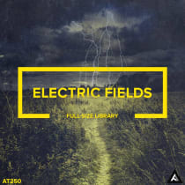 Electric Fields