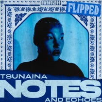 TSUNAINA - Notes and Echoes