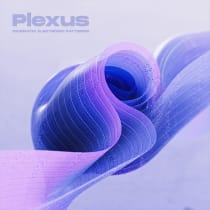 Plexus