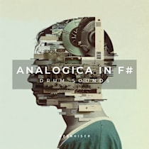 Analogica In F#