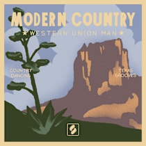 Modern Country - Western Union Man