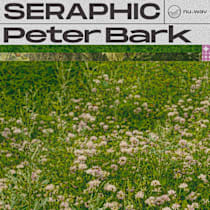 Peter Bark - Seraphic