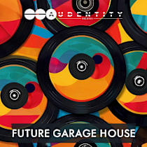 Future Garage House