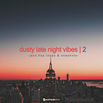 Dusty Late Night Vibes Vol 2