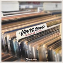 Vinyl Soul - Vintage Cuts