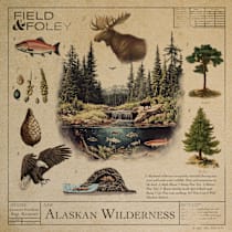 Alaskan Wilderness