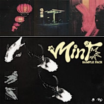 Mint (Jazzfeezy & TY)