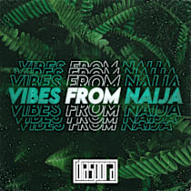 Vibes From Naija