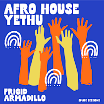 Afro House Yethu : Frigid Armadillo