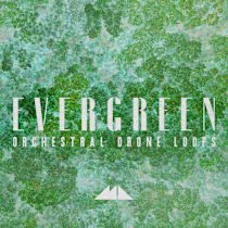 Evergreen - Orchestral Drone Loops