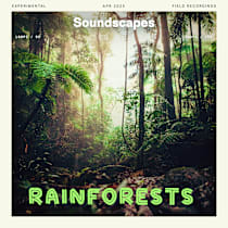 Rainforests