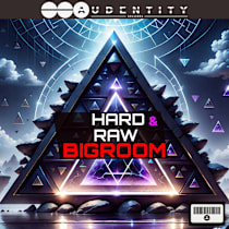 Hard & Raw Bigroom