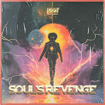 Soul's Revenge