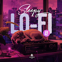 Sleepy Lo-Fi 2