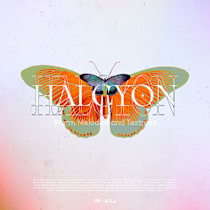 Halcyon - Warm Melodics and Textures