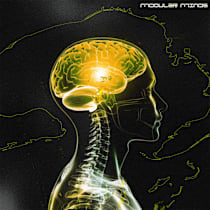 Modular Minds