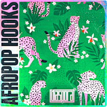 Afropop Hooks