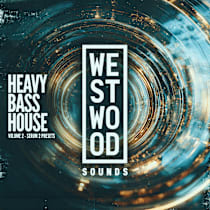 Heavy Bass House Vol. 2 Serum Presets