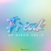 Freak Nu Disco Vol 2