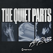 The Quiet Parts - Alt RNB