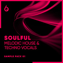 Soulful Melodic House & Techno Vocals