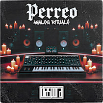 Perreo: Analog Rituals