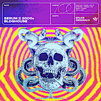 Serum 2 2000s Bloghouse