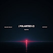 Polarities 2 (Walden Wesley)