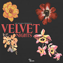 Velvet Nights