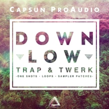 Cover art for Down Low - Trap & Twerk pack