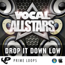 Cover art for Vocal Allstars Series: "Drop It Down Low" pack