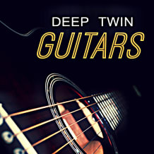 Cover art for Deep Twin Guitars pack