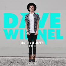 Cover art for Dave Winnel - For The Win Samples pack