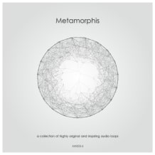 Cover art for Metamorphis pack