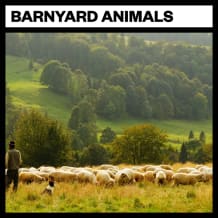 Cover art for Barnyard Animals pack