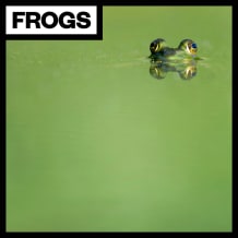 Cover art for Frogs pack